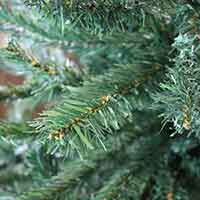 Folienschnitt Weihnachtsbaum